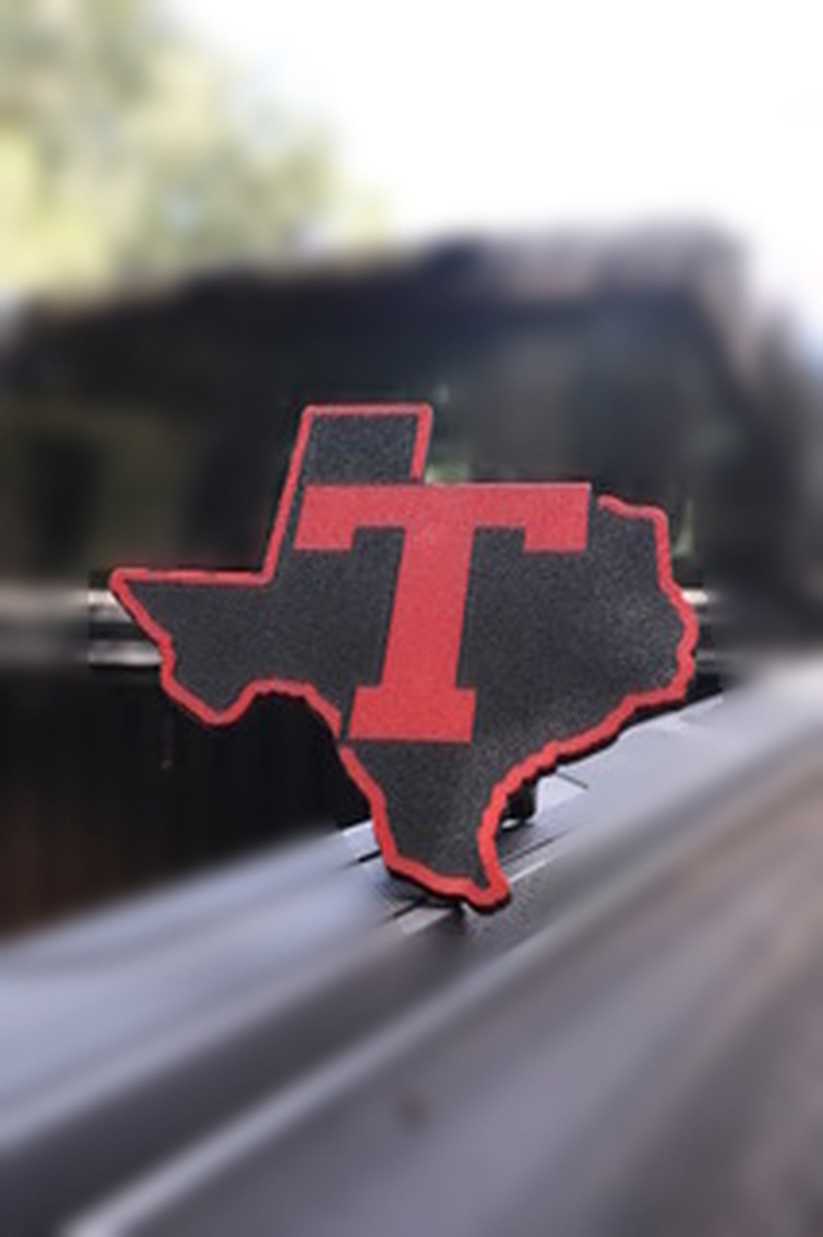 Tomball Cougar Texas 2" Trailer Hitch Cover – Custom 3D Printed