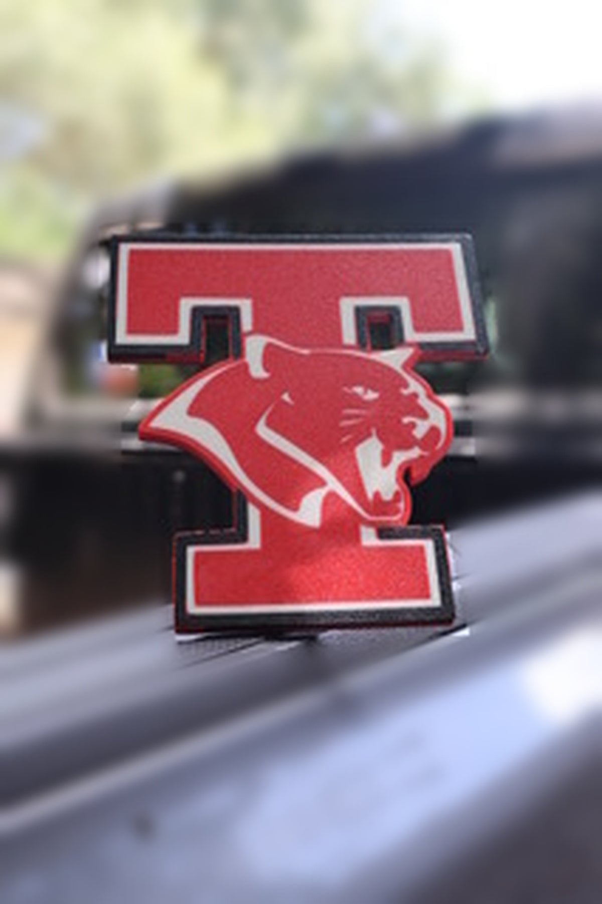 Tomball Cougar Texas 2" Trailer Hitch Cover – Custom 3D Printed